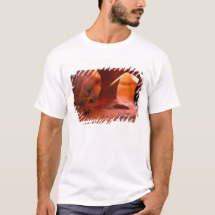 Camiseta NA, EE. UU., Arizona, Paria Canyon. Arenisca