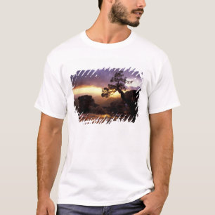 Camiseta NA, EE. UU., Arizona, Tucson, Atardecer y solitari