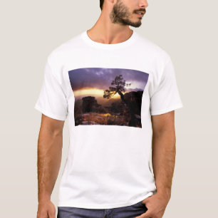 Camiseta NA, EE. UU., Arizona, Tucson, Atardecer y solitari
