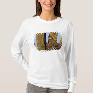 Camiseta NA, EE. UU., Arizona, Tucson. Búho cornudo