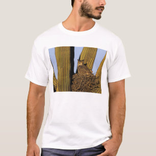 Camiseta NA, EE. UU., Arizona, Tucson. Búho cornudo