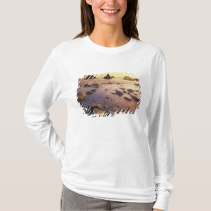 Camiseta NA, EE. UU., California, California del Norte,
