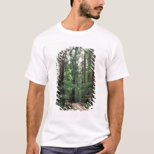 Camiseta NA, EE. UU., California, Condado de Marin, Muir Wo