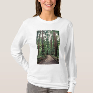 Camiseta NA, EE. UU., California, Condado de Marin, Muir Wo