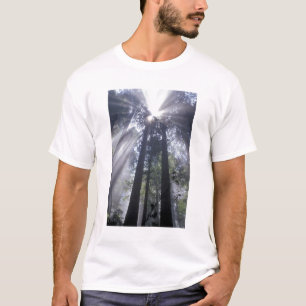 Camiseta NA, EE. UU., California. Costa Del Norte State