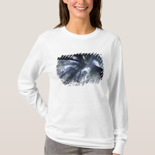 Camiseta NA, EE. UU., California, Del Norte Redwoods State