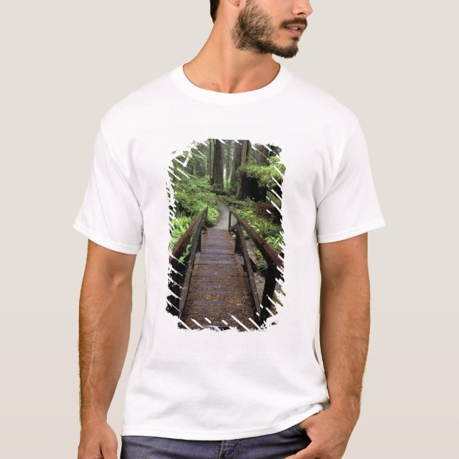 Camiseta NA, EE.UU., California, Jedidiah Smith Redwood (Anverso)