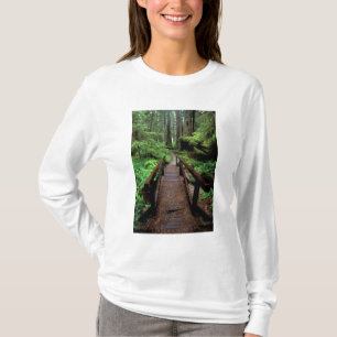 Camiseta NA, EE. UU., California, Jedidiah Smith Redwoods