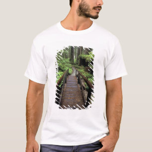 Camiseta NA, EE. UU., California, Jedidiah Smith Redwoods