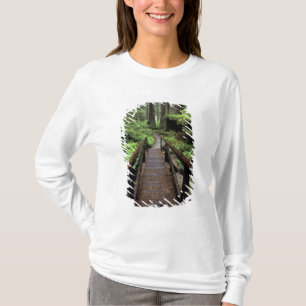 Camiseta NA, EE. UU., California, Jedidiah Smith Redwoods