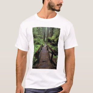 Camiseta NA, EE. UU., California, Jedidiah Smith Redwoods