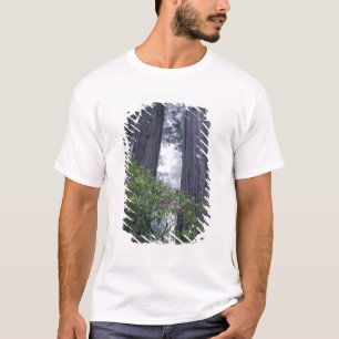 Camiseta NA, EE. UU., California. Parque Estatal Del Norte 