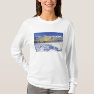 Camiseta NA, EE. UU., Colorado, montañas San Juan Nieve fre