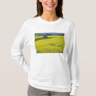 Camiseta NA, EE. UU., Idaho, cerca de Potlatch, granero de