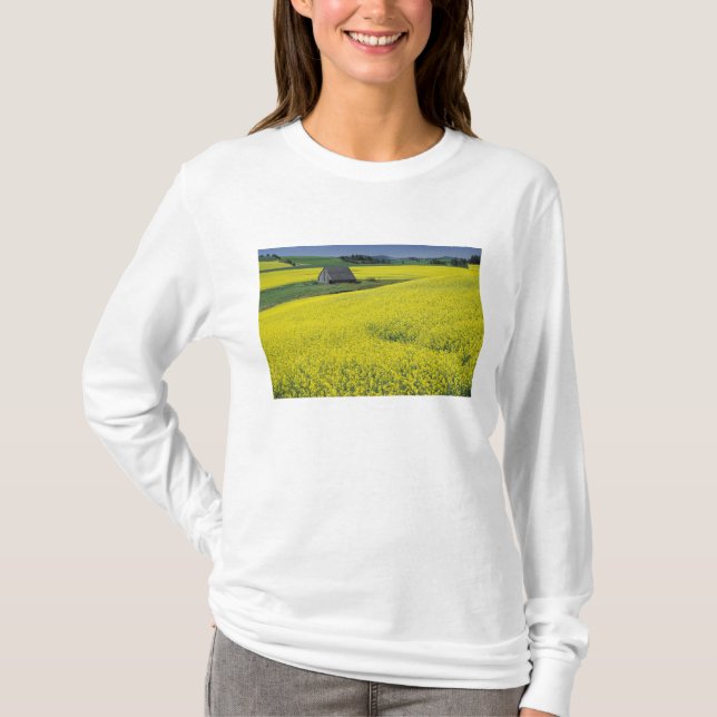 Camiseta NA, EE. UU., Idaho, cerca de Potlatch, granero de  (Anverso)