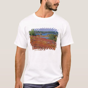 Camiseta NA, EE.UU., Maine. Blueberry Barrens.