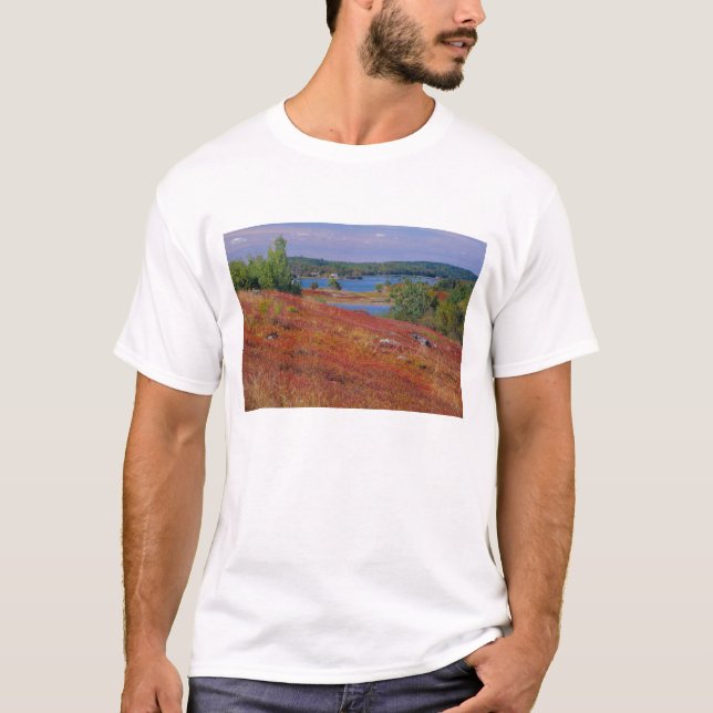 Camiseta NA, EE. UU., Maine. Páramos de Arándanos. (Anverso)