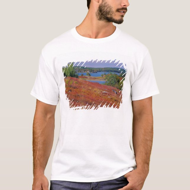Camiseta NA, EE. UU., Maine. Páramos de arándanos. (Anverso)