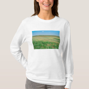 Camiseta NA, EE. UU., NE. Pastizales cerca de Ogallala con