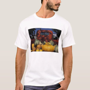 Camiseta NA, EE. UU., Nuevo México, Taos. Stand de Chile.