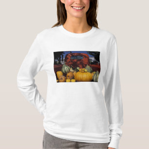 Camiseta NA, EE. UU., Nuevo México, Taos. Stand de Chile.