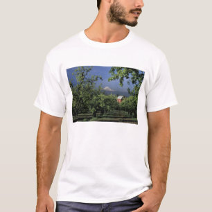 Camiseta NA, EE. UU., Oregón, cerca de Hood River Mt. Hood 