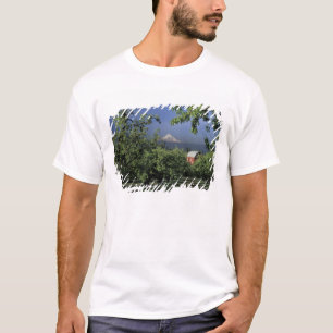 Camiseta NA, EE. UU., Oregón, cerca de Hood River Mt. Hood 
