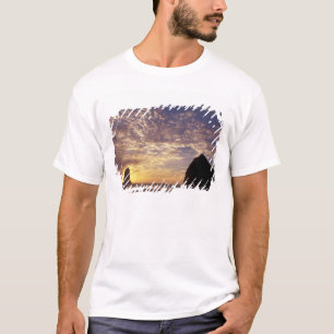 Camiseta NA, EE. UU., Oregón, Costa de Oregón, Canon Beach