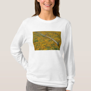 Camiseta NA, EE. UU., Oregón. Sistema de riego en campo de