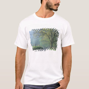 Camiseta NA, EE. UU., Tennessee, Cades Cove, Great Smoky