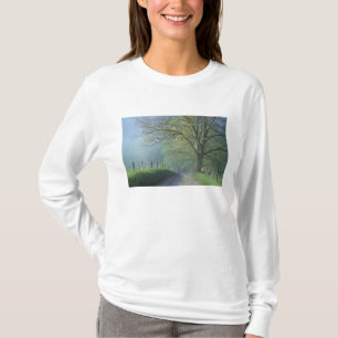 Camiseta NA, EE. UU., Tennessee, Cades Cove, Great Smoky