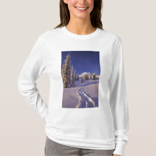 Camiseta NA, EE. UU., Washington, Mt. Rainier NP, raquetas