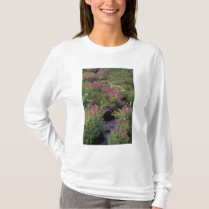 Camiseta NA, EE. UU., Washington, Mt. Rainier NP, Rosa