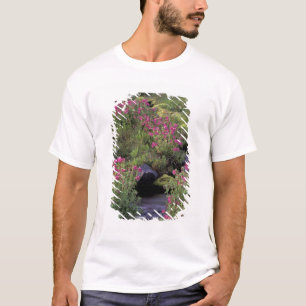 Camiseta NA, EE. UU., Washington, Mt. Rainier NP, Rosa