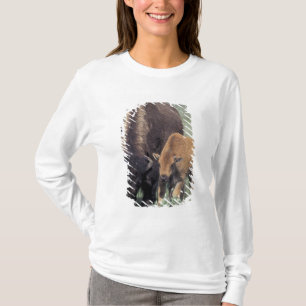 Camiseta NA, EE. UU., Wyoming, Parque Nacional Yellowstone.