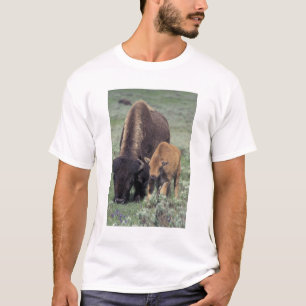 Camiseta NA, EE. UU., Wyoming, Parque Nacional Yellowstone.