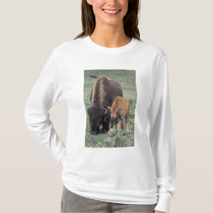 Camiseta NA, EE. UU., Wyoming, Parque Nacional Yellowstone.