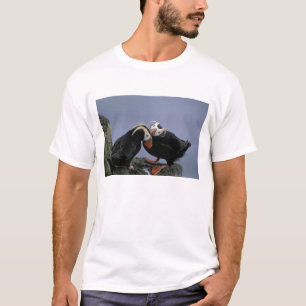 Camiseta NA, EEUU, Alaska, Bering Sea, Pribilofs. Tufado