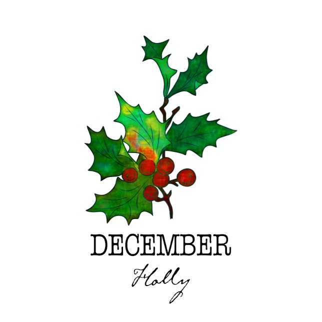 Camiseta Nacimiento Mes Flor Diciembre Holly (Subido por el creador)