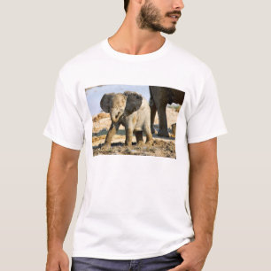 Camiseta Namibia, África: cría de elefante africano