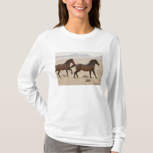 Camiseta Namibia, Australia. Caballos salvajes corriendo en