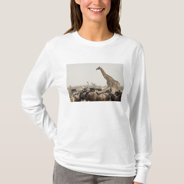 Camiseta Namibia, Parque Nacional Etosha. Una jirafa solita (Anverso)