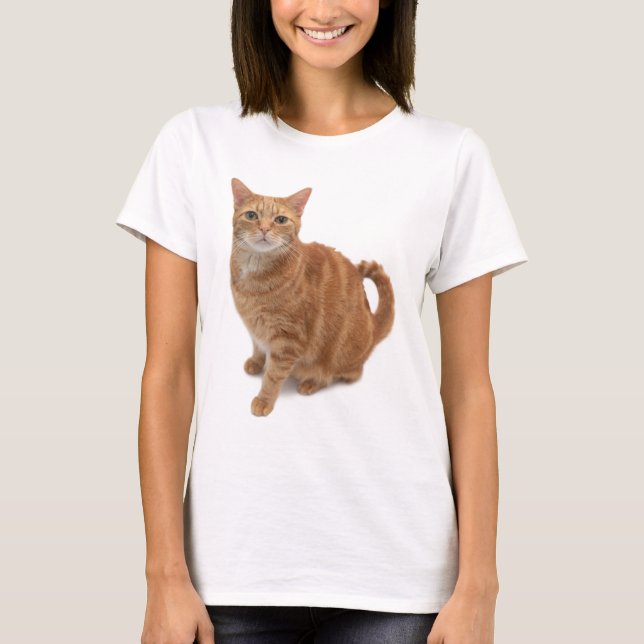 Camiseta Naranja Cat Standing (Anverso)