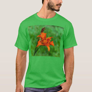 Camiseta Naranja Daylily 1