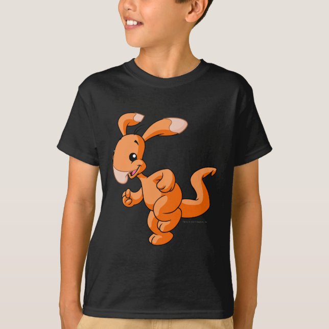 Camiseta Naranja de Blumaroo (Anverso)