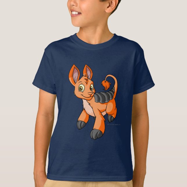Camiseta Naranja de Bori (Anverso)