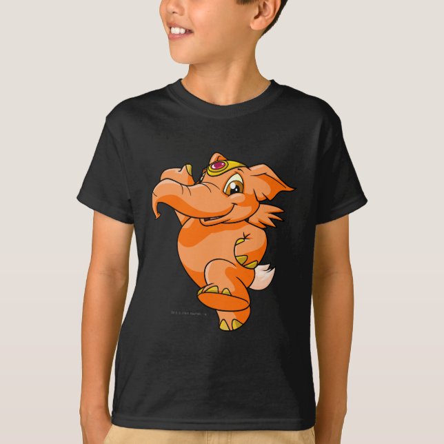 Camiseta Naranja de Elephante (Anverso)