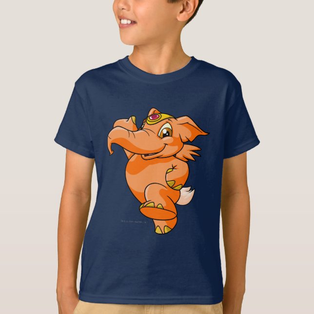 Camiseta Naranja de Elephante (Anverso)