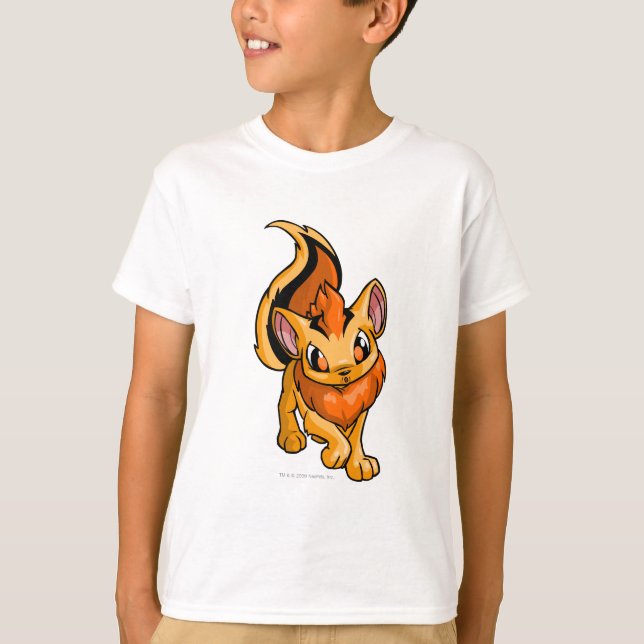 Camiseta Naranja de Xweetok (Anverso)