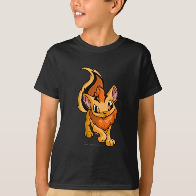 Camiseta Naranja de Xweetok (Anverso)